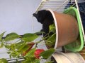 WP_20160824_16_31_26_Pro.jpg